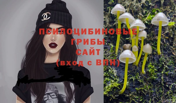 мдпв Балахна