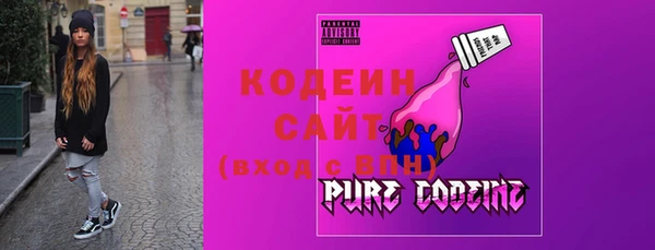 шишки Белокуриха