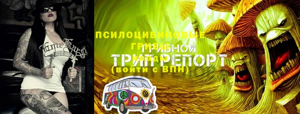 мдпв Балахна