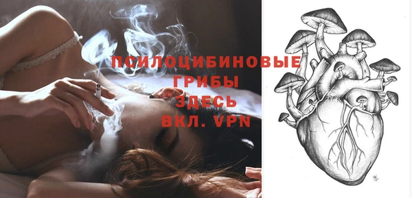 мдпв Балабаново