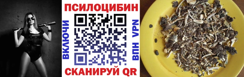 MEGA зеркало  Олёкминск  Псилоцибиновые грибы Psilocybine cubensis 